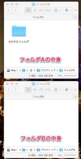 各フォルダの中身
